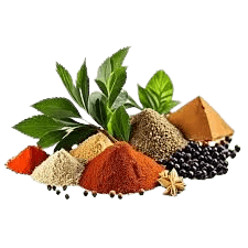 Food Masala